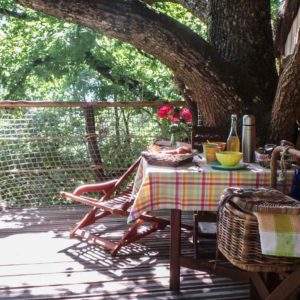 Cabane perchée dans un arbre, avec une terrasse et une vue sur la nature environnante.