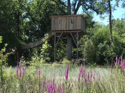 Cabane perchée dans les arbres, entourée de fleurs sauvages et verdure luxuriante.