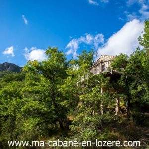 Cabane perchée dans les arbres, entourée de verdure et de montagnes.