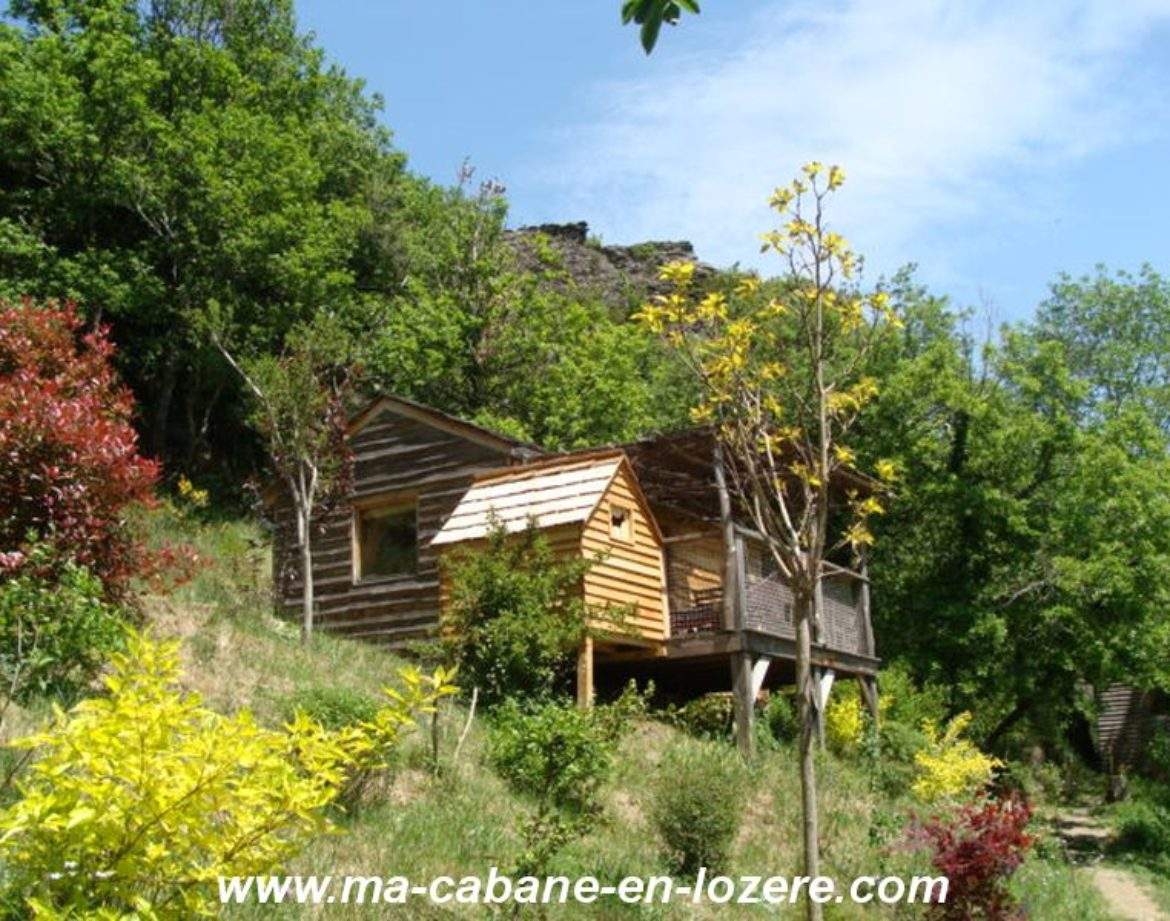 Cabane en bois perchée, entourée de verdure et de fleurs colorées à Languedoc-Roussillon.
