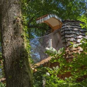 Cabane perchée dans les arbres, entourée de verdure luxuriante à Champagne-Ardennes.