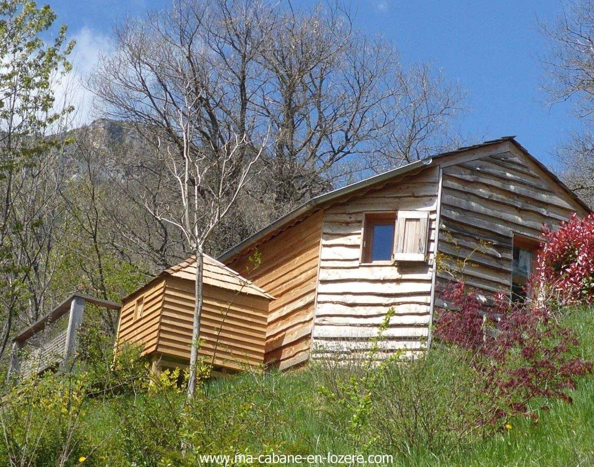 Cabane en bois perchée sur une colline, entourée de verdure et darbres.