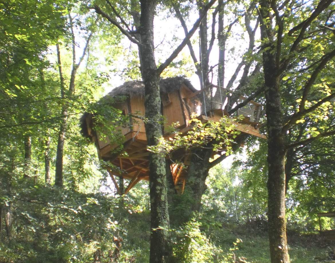 Cabane perchée dans les arbres, entourée de verdure luxuriante en Auvergne-Rhône-Alpes.