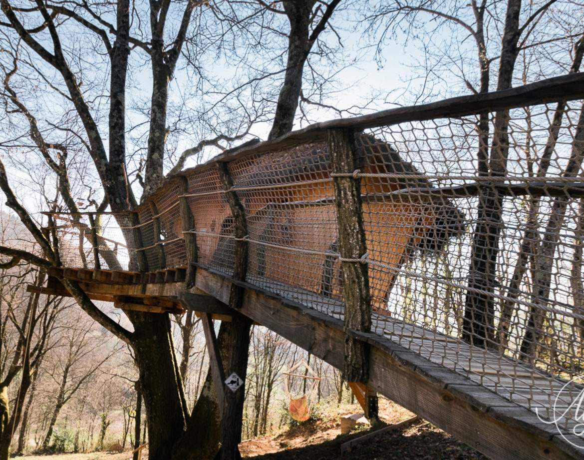 Cabane perchée dans les arbres, accessible par un pont en bois, entourée de nature.