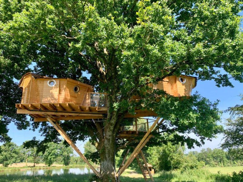 Cabane dans les arbres à Pays de la Loire, perchée au cœur dun grand chêne.