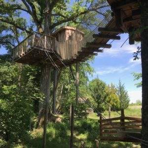 Cabane perchée dans les arbres, entourée de verdure, offrant une vue paisible.