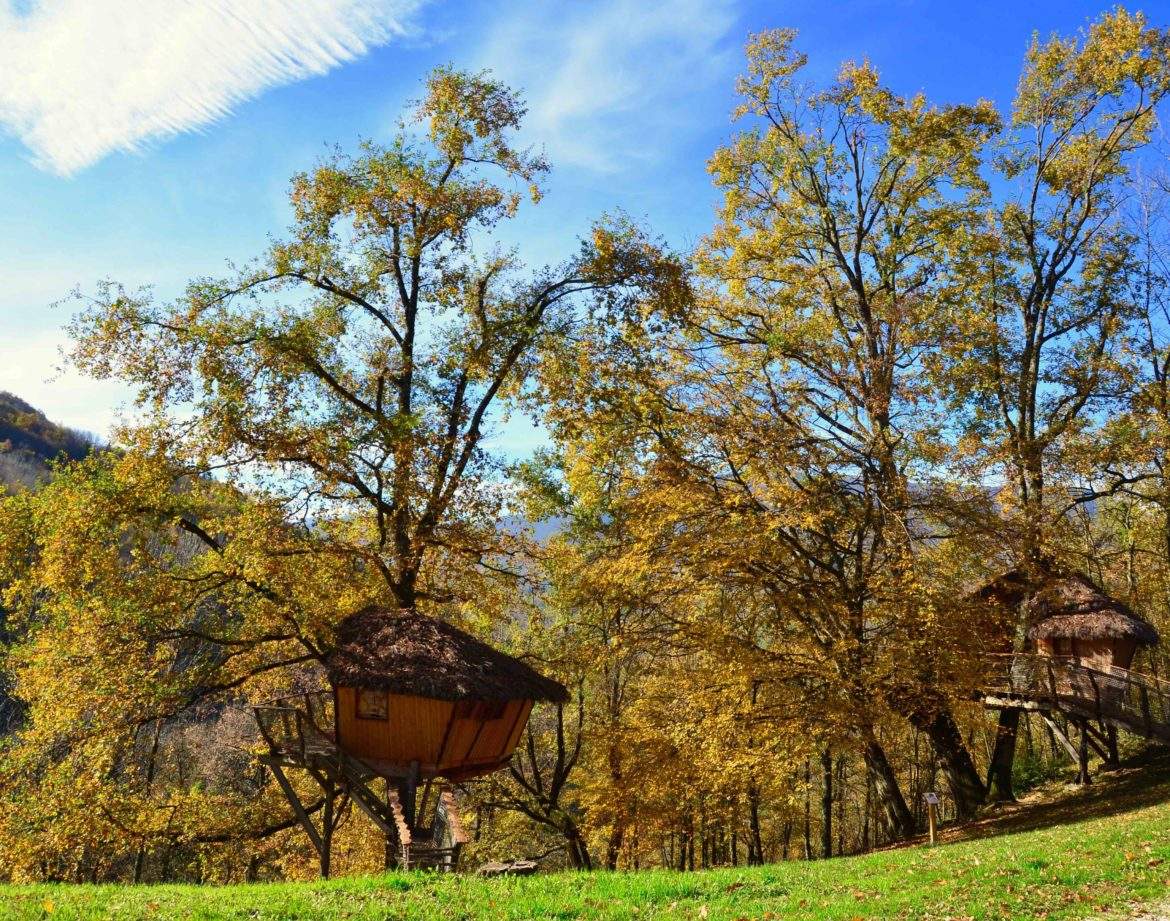 Cabane perchée dans les arbres, entourée de feuillage automnal en Auvergne-Rhône-Alpes.