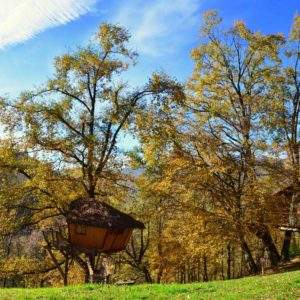 Cabane perchée dans les arbres, entourée de feuillage automnal en Auvergne-Rhône-Alpes.