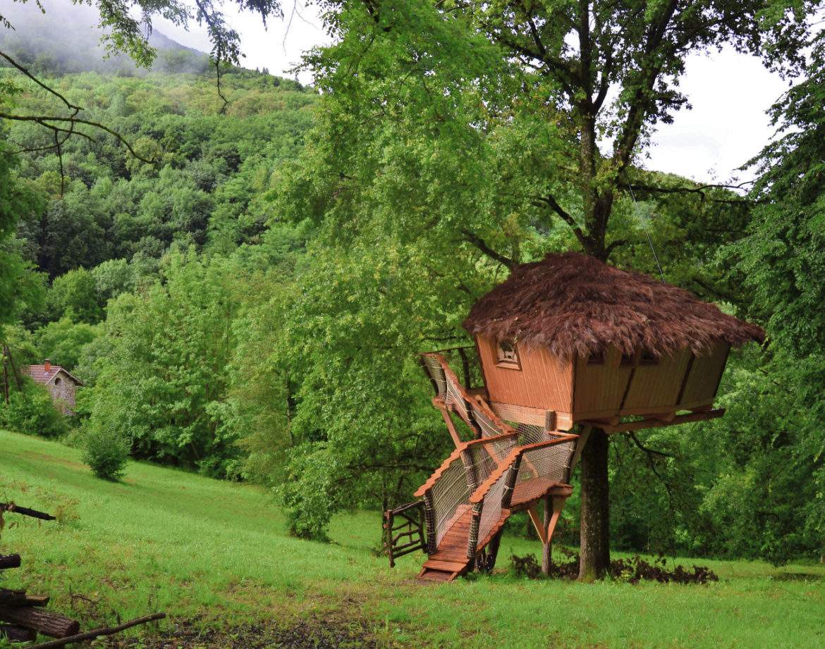 Cabane perchée dans un arbre, entourée de verdure luxuriante en Auvergne-Rhône-Alpes.