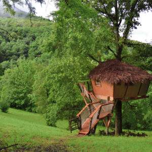 Cabane perchée dans un arbre, entourée de verdure luxuriante en Auvergne-Rhône-Alpes.