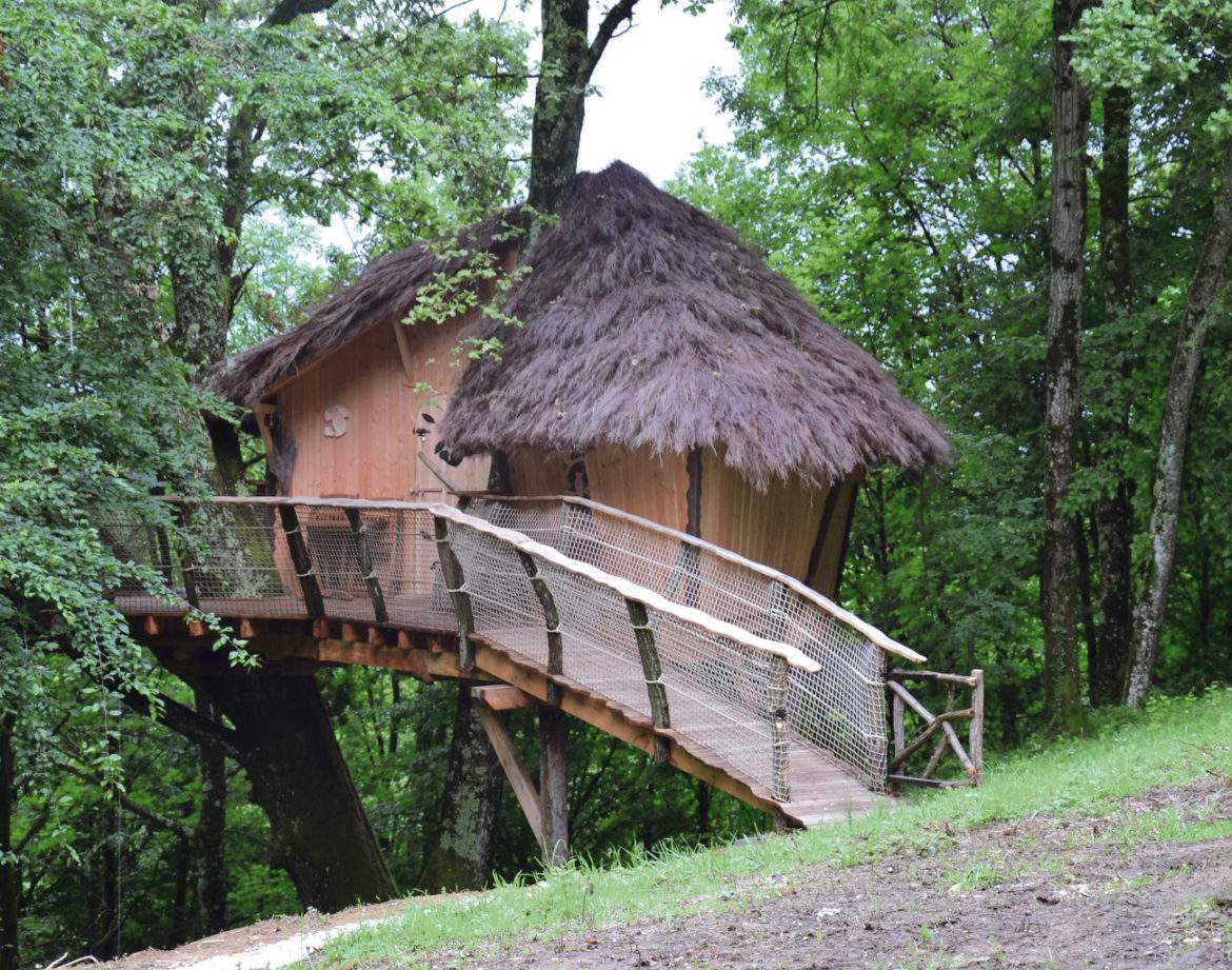 Cabane perchée en bois avec toit de chaume, entourée darbres verdoyants.