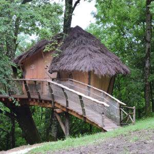 Cabane perchée en bois avec toit de chaume, entourée darbres verdoyants.