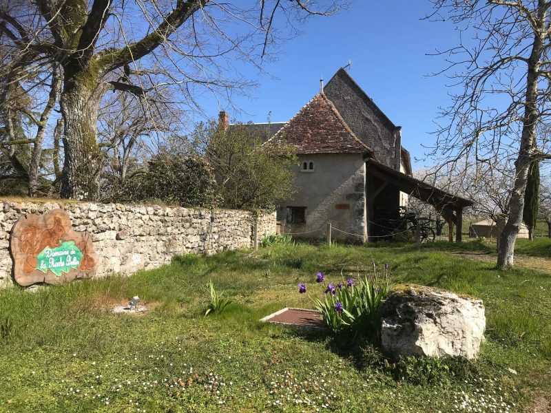 Gîte rural avec un jardin fleuri et une façade en pierre, entouré darbres.