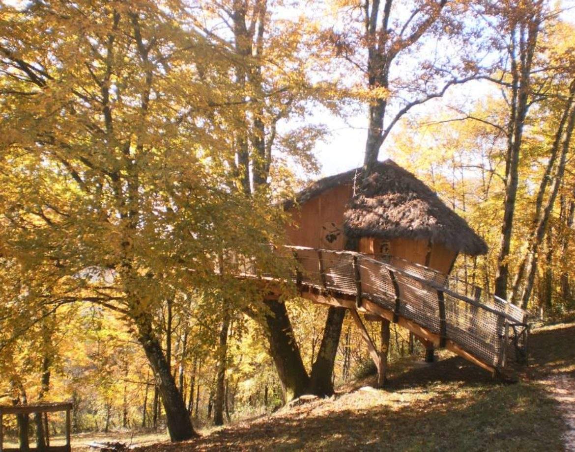 Cabane perchée en bois, nichée dans les arbres aux feuilles dorées dAuvergne.