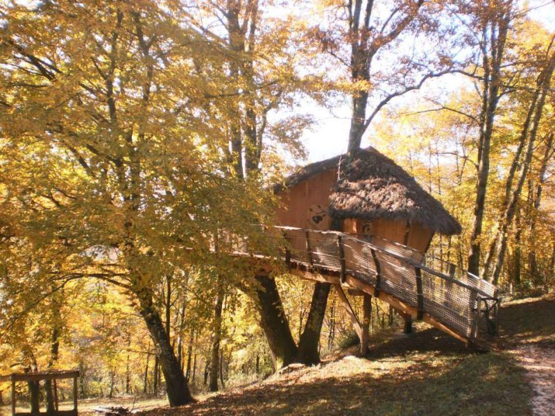 Cabane perchée en bois, nichée dans les arbres aux feuilles dorées dAuvergne.