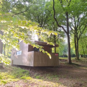 Cabane en bois nichée dans les arbres, entourée de verdure à Basse-Normandie.
