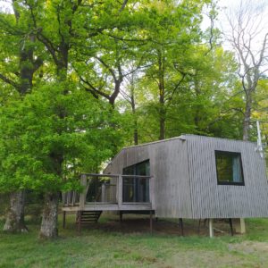 Cabane moderne en bois, perchée au milieu des arbres verdoyants en Basse-Normandie.