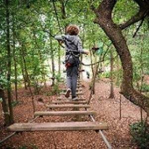 Hébergement insolite en cabane dans les arbres, avec un parcours suspendu en forêt.