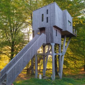 Cabane perchée en bois, sur pilotis, entourée de verdure en Basse-Normandie.