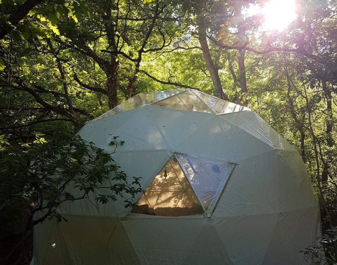 Dôme géodésique en pleine nature, baigné de lumière, idéal pour un séjour insolite.