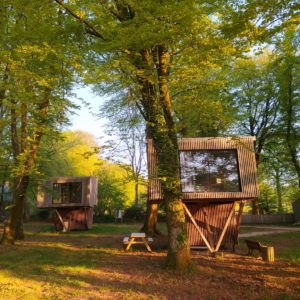 Cabane perchée en bois, entourée darbres verdoyants en Basse-Normandie.