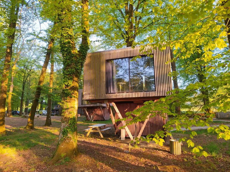 Cabane moderne en bois perchée dans les arbres, entourée de verdure luxuriante.