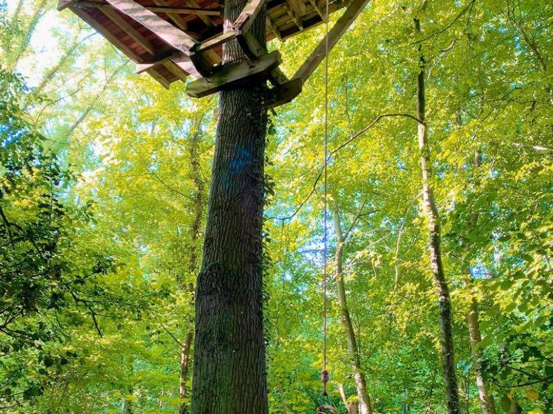Cabane dans les arbres, perchée au-dessus du sol, entourée de verdure luxuriante.