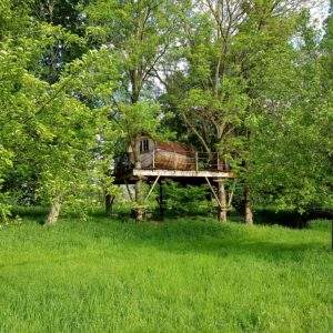 Cabane perchée en bois, entourée darbres verdoyants en Basse-Normandie.