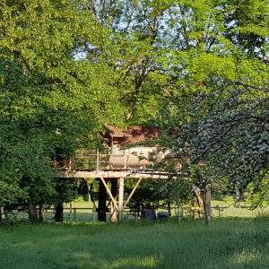 Cabane perchée en bois, entourée darbres verdoyants en Basse-Normandie.