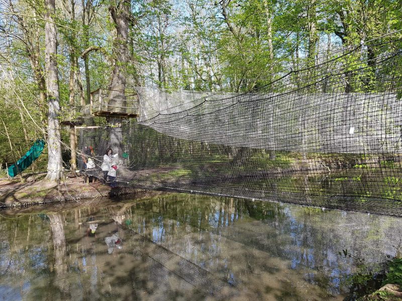Cabane dans les arbres avec filet suspendu au-dessus dun étang, entourée de verdure.