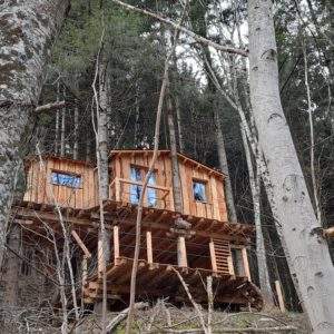 Cabane perchée en bois dans les arbres, entourée de nature verdoyante en Auvergne-Rhône-Alpes.