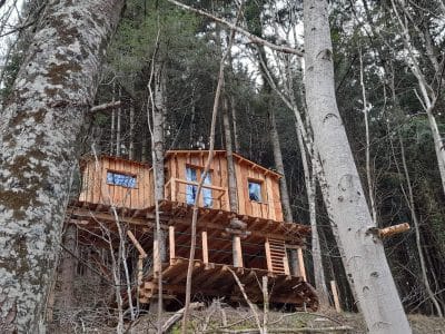 Cabane perchée en bois dans les arbres, entourée de nature verdoyante en Auvergne-Rhône-Alpes.