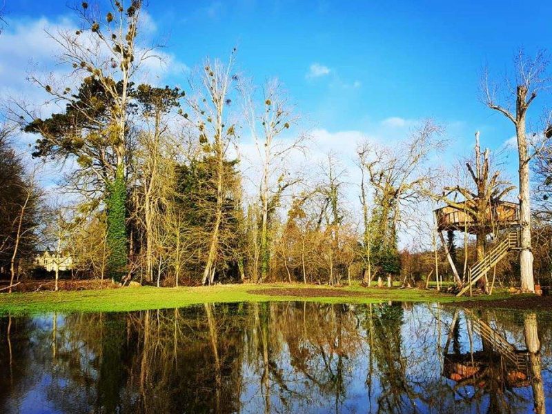 Cabane dans les arbres au bord dun étang, entourée de verdure et darbres dénudés.