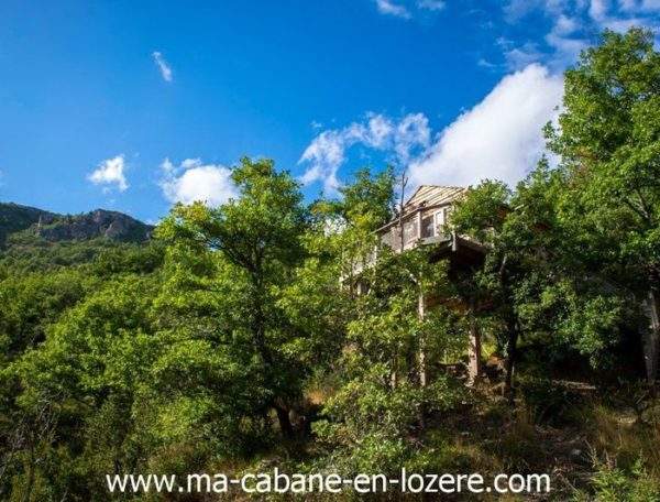 Cabane-Ecureuil -Ma p-tite-Cabane-en Lozère