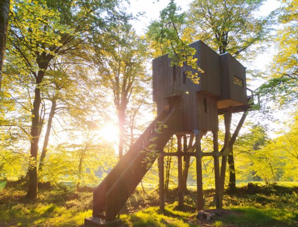 cabane dans les arbres lever soleil