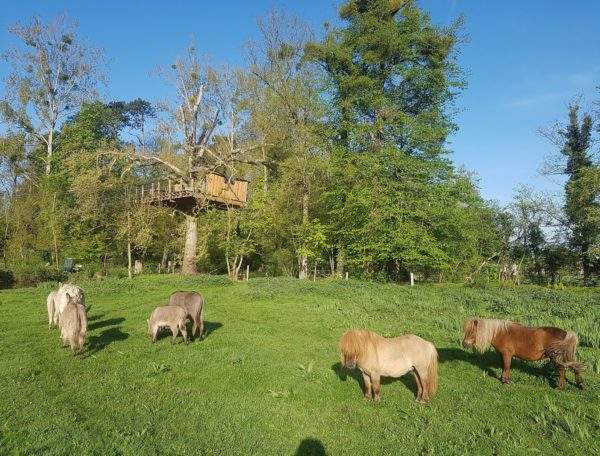 cabane ilot hauteur