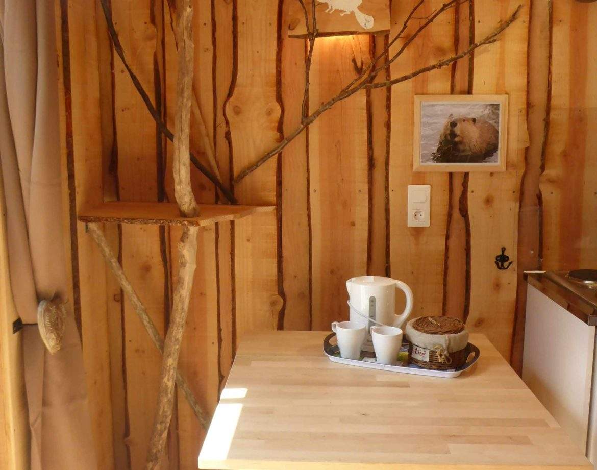 Cabane en bois dans le Languedoc-Roussillon avec un décor naturel et chaleureux.
