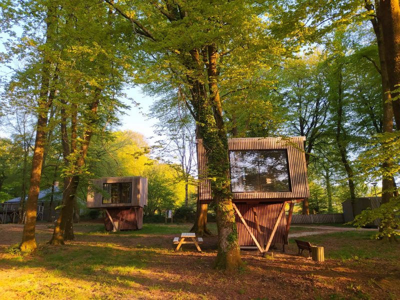 Cabines modernes en bois, perchées entre les arbres, offrant une vue sur la nature.