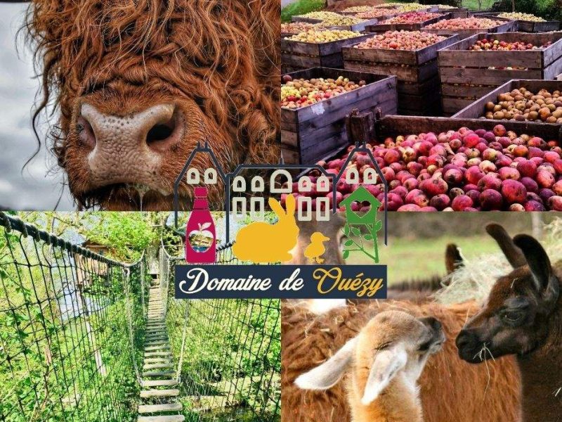 Domaine de Quézy : ferme pédagogique avec animaux et vergers colorés.