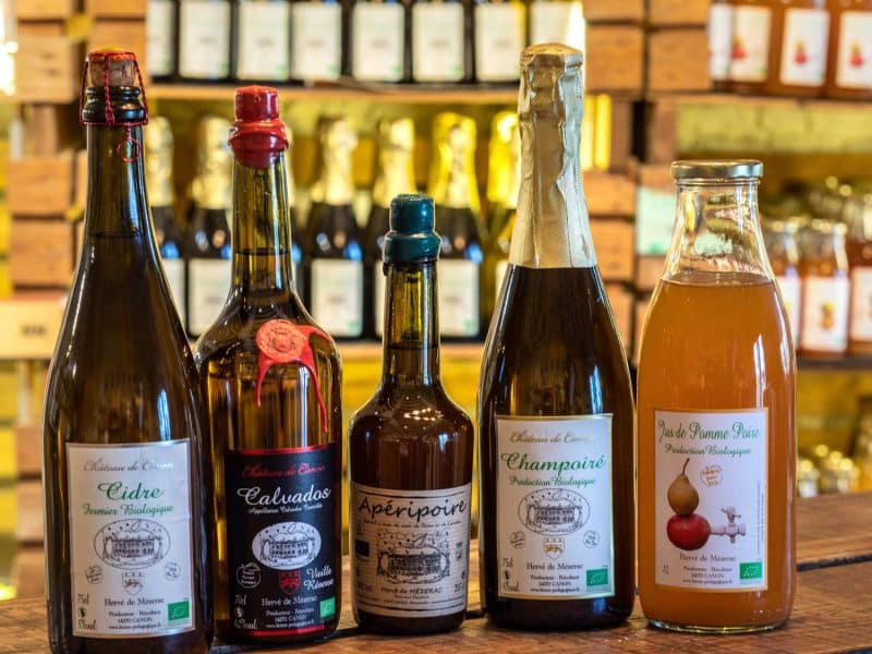 Dégustation de boissons artisanales dans un hébergement chaleureux et convivial.