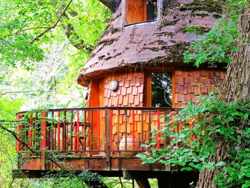 Cabane dans les arbres en bois, nichée dans la verdure luxuriante.