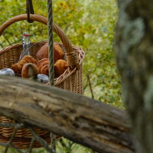 Photo la cabane perchée au bois d'Emma et Loue, Eauze, Gers, Midi pyrénnées, Occitanie (4)