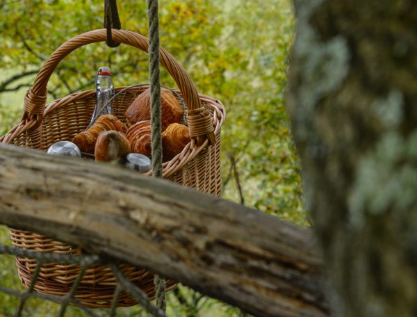 Photo la cabane perchée au bois d'Emma et Loue, Eauze, Gers, Midi pyrénnées, Occitanie (4)