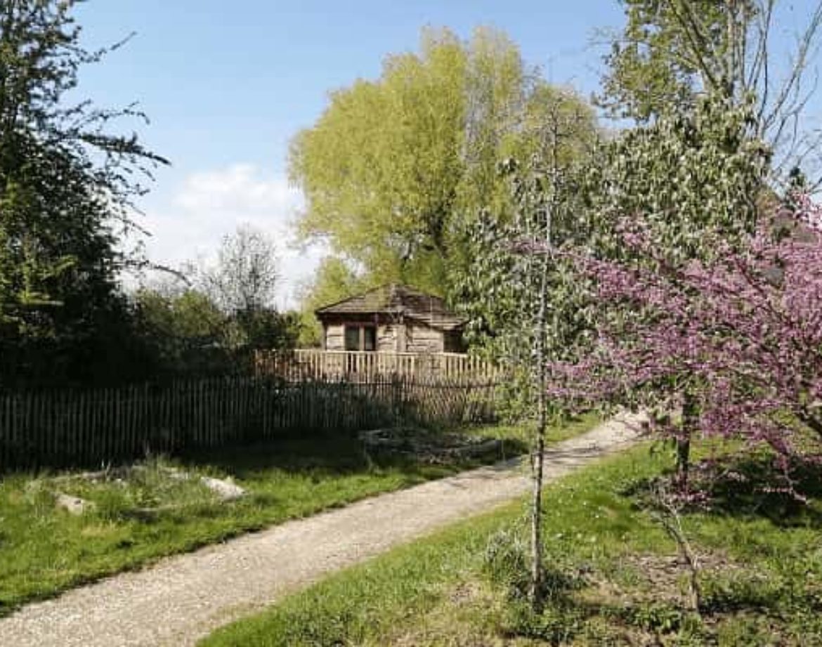 Cabane en bois au cœur de la nature, entourée darbres et de fleurs colorées.