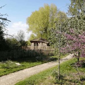 Cabane en bois au cœur de la nature, entourée darbres et de fleurs colorées.
