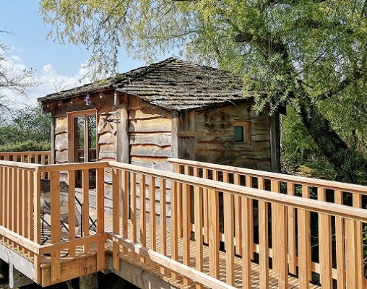 Cabane perchée en bois avec terrasse, entourée darbres verdoyants.