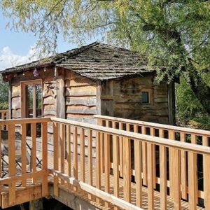 Cabane perchée en bois avec terrasse, entourée darbres verdoyants.