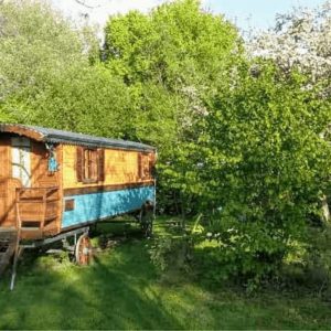 Charmant roulotte en bois, entourée de verdure et darbres fleuris.