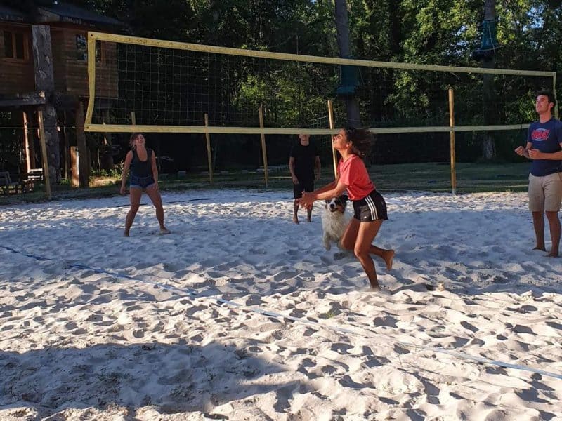 Hébergement en plein air avec terrain de beach-volley et verdure environnante.