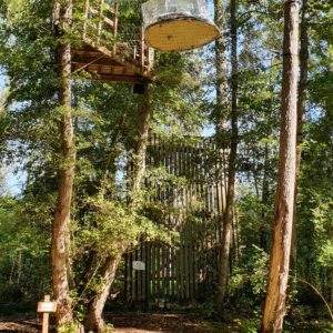 Cabane perchée dans les arbres, offrant une vue imprenable sur la forêt verdoyante.